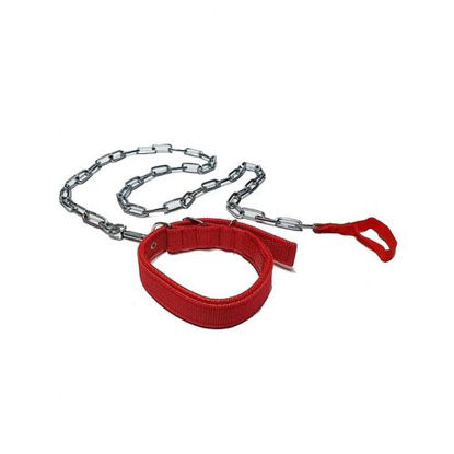Image de Collier Pour Chien - Rouge