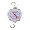 Image sur Balance Electronique - 200Kg - Gris