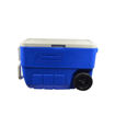 Image sur Glacière Coleman - 50 L - Bleu