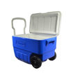 Image sur Glacière Coleman - 50 L - Bleu