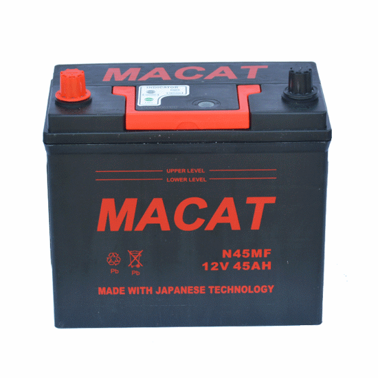 Image sur Batterie Non Rechargeable D120 MF - 120A - Noir - 01 Mois