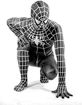 Image sur Costume Spider-Man adulte