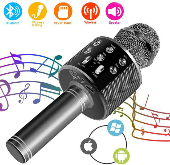 Image sur Microphone sans Fil Micro Bluetooth WS-858 à Main de Condensateur avec Haut-Parleur