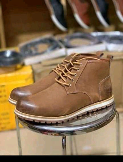 timberland lite