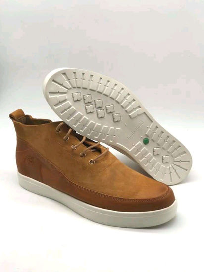 chaussure timberland ortholite