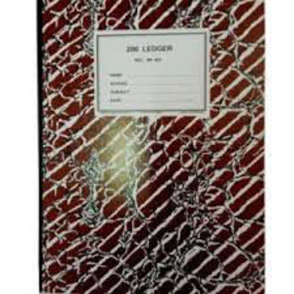 Agrandir l'image de 300 PAGES LEDGER Image de 300 PAGES LEDGER