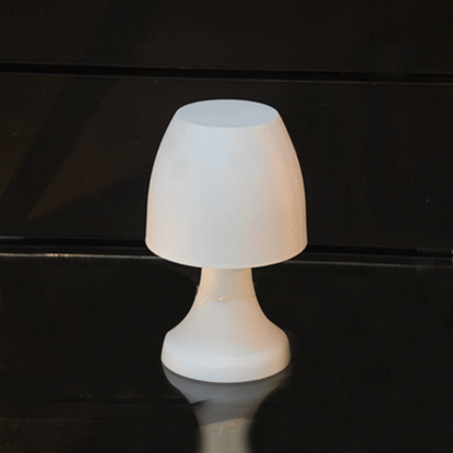 Image de Paire de LAMPE LED H19 CLR BLANC 1C/24AC REF 216 746