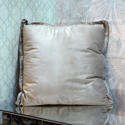 Image de COUSSIN EN VELOUR 40X40cm  2ASS CLR