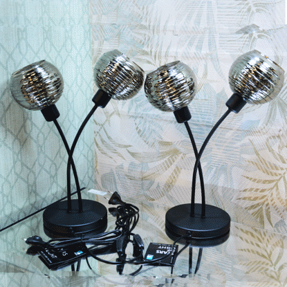 Image de LAMPE DE TABLE DEUX TETES 36X27X18CM