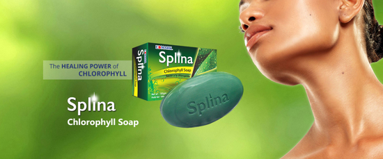 Image sur Complément alimentaire Edmark splina chlorophyll soap-360g