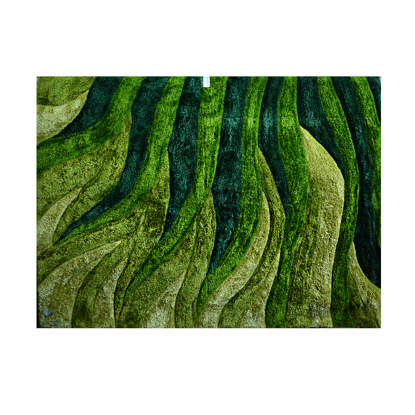 Image de TAPIS 190X290 CLR VERT 1AC REF PSR 56432