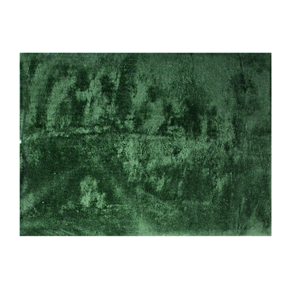 Image de TAPIS SHAGY 160X230CM CLR VERT