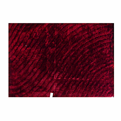 Image de TAPIS SHAGY 160X230 CLR BURGUNDY