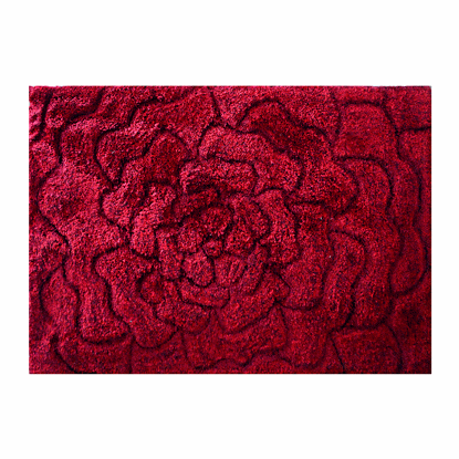 Image de TAPIS SHAGY 160X230 CLR ROUGE