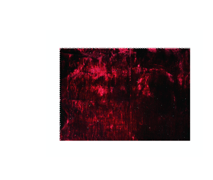 Image de TAPIS SHAGY 190X290 CLR ROUGE