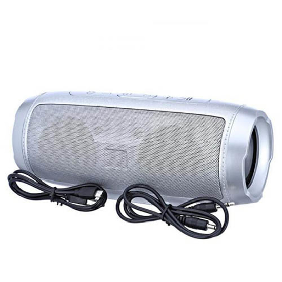 Image sur Haut-parleur Bluetooth portable Koleer S1000-gris