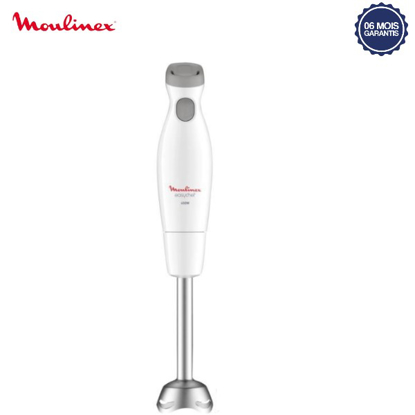 Mixeur plongeant Moulinex easychef - 2 vitesses - 450W - Blanc - 6 Mois garantis-iziwaycameroun