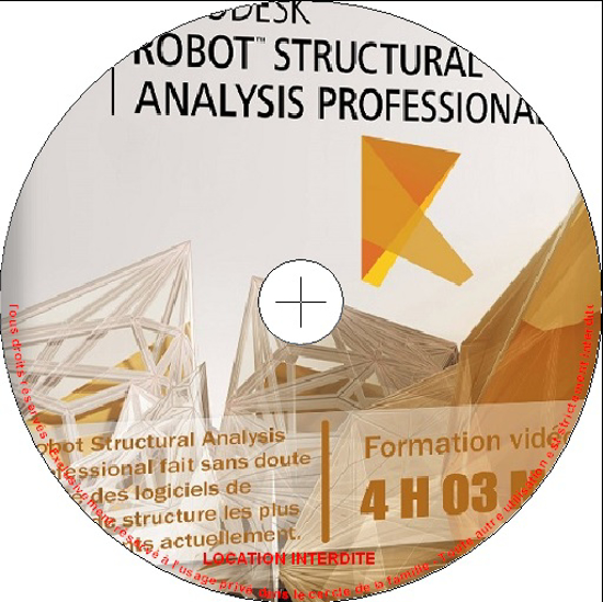 Image sur Dvd Elephorm: Formation à Robot Structural Analysis Professional (4h 03 Min)