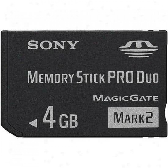 Image sur Carte mémoire Memory Stick PRO Duo 4 GB