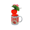 Image sur Coffret cadeau - Fleurs + tasse - Rouge et blanc