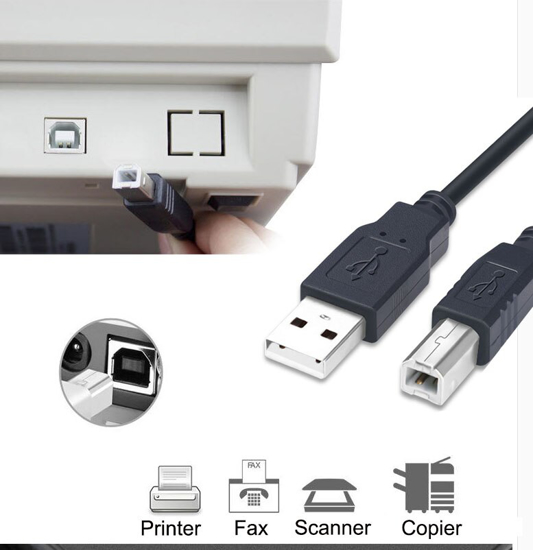 Image sur Câble USB mâle 2.0 A vers B, 3 pieds, 3 mètres, haute vitesse, pour imprimante
