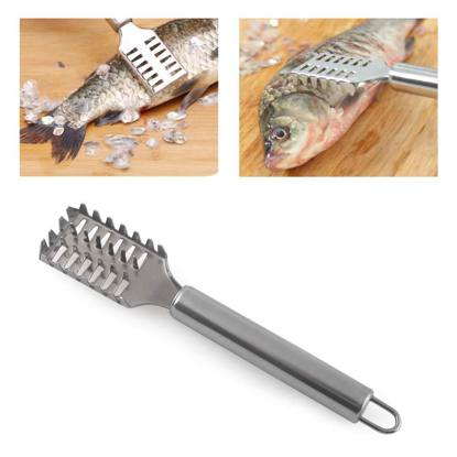 Agrandir l'image de ecail poisson inox Image de ecail poisson inox