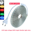 Image sur Bande lumineuse LED  10 mètres/220 V EXTÉRIEUR EXTÉRIEUR RVB/bande LED colorée