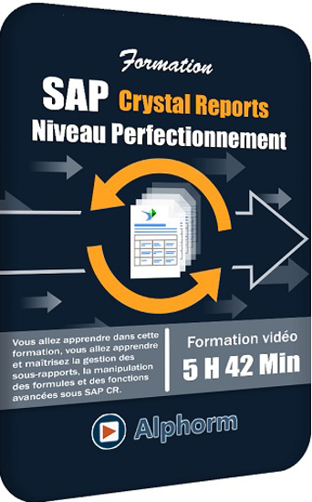 Image sur DVD Formation SAP Crystal Reports - Niv. Perfectionnement | 5 H 42 Min | 11 Go