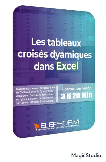 Image sur Les Tableaux Croisés Dynamiques dans Excel 2019 - 3h 20 - 6,2 Gb