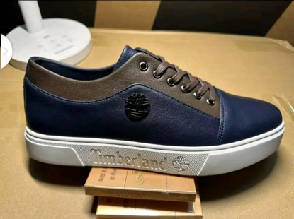 Agrandir l'image de CHAUSSURE BASSE TIMBALAND Image de CHAUSSURE BASSE TIMBALAND