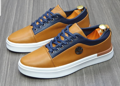 Image de CHAUSSURE BASSE TIMBALAND