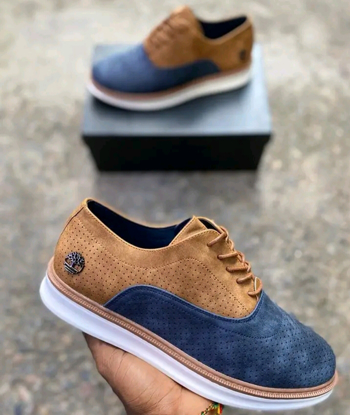 Agrandir l'image de CHAUSSURE BASSE TIMBALAND Image de CHAUSSURE BASSE TIMBALAND