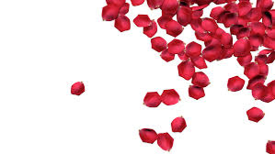 Image sur 100  Pétales de roses artificielles-st valentin- mariage-lune de miel-soirééromantique