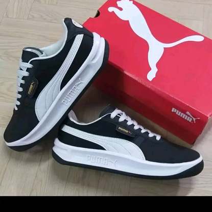 Agrandir l'image de CHAUSSURE BASSE PUMA Image de CHAUSSURE BASSE PUMA