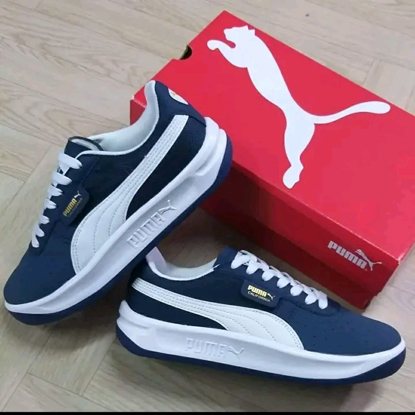 Agrandir l'image de CHAUSSURE BASSE PUMA Image de CHAUSSURE BASSE PUMA