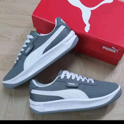 Agrandir l'image de CHAUSSURE BASSE PUMA Image de CHAUSSURE BASSE PUMA
