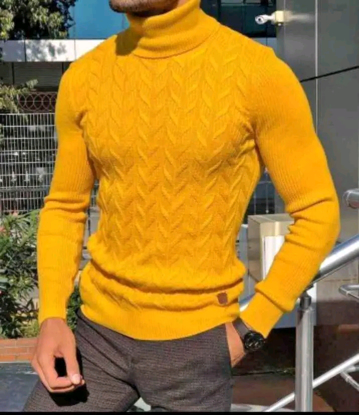 Agrandir l'image de PULL COL ROULÉ Image de PULL COL ROULÉ