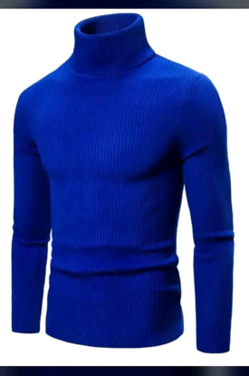 Agrandir l'image de PULL COL ROULÉ Image de PULL COL ROULÉ