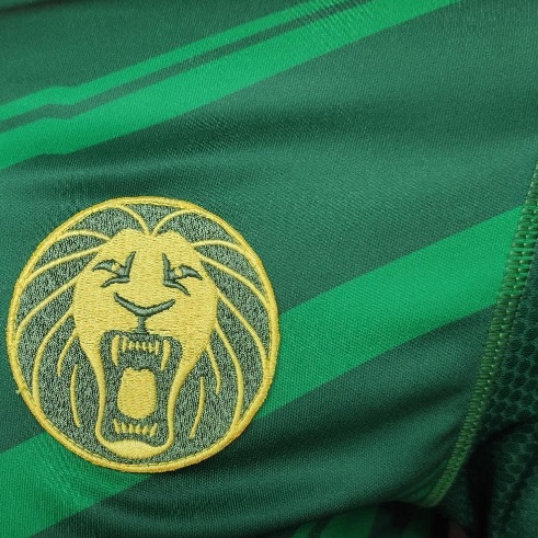 Le Cameroun portera des maillots One All Sport 